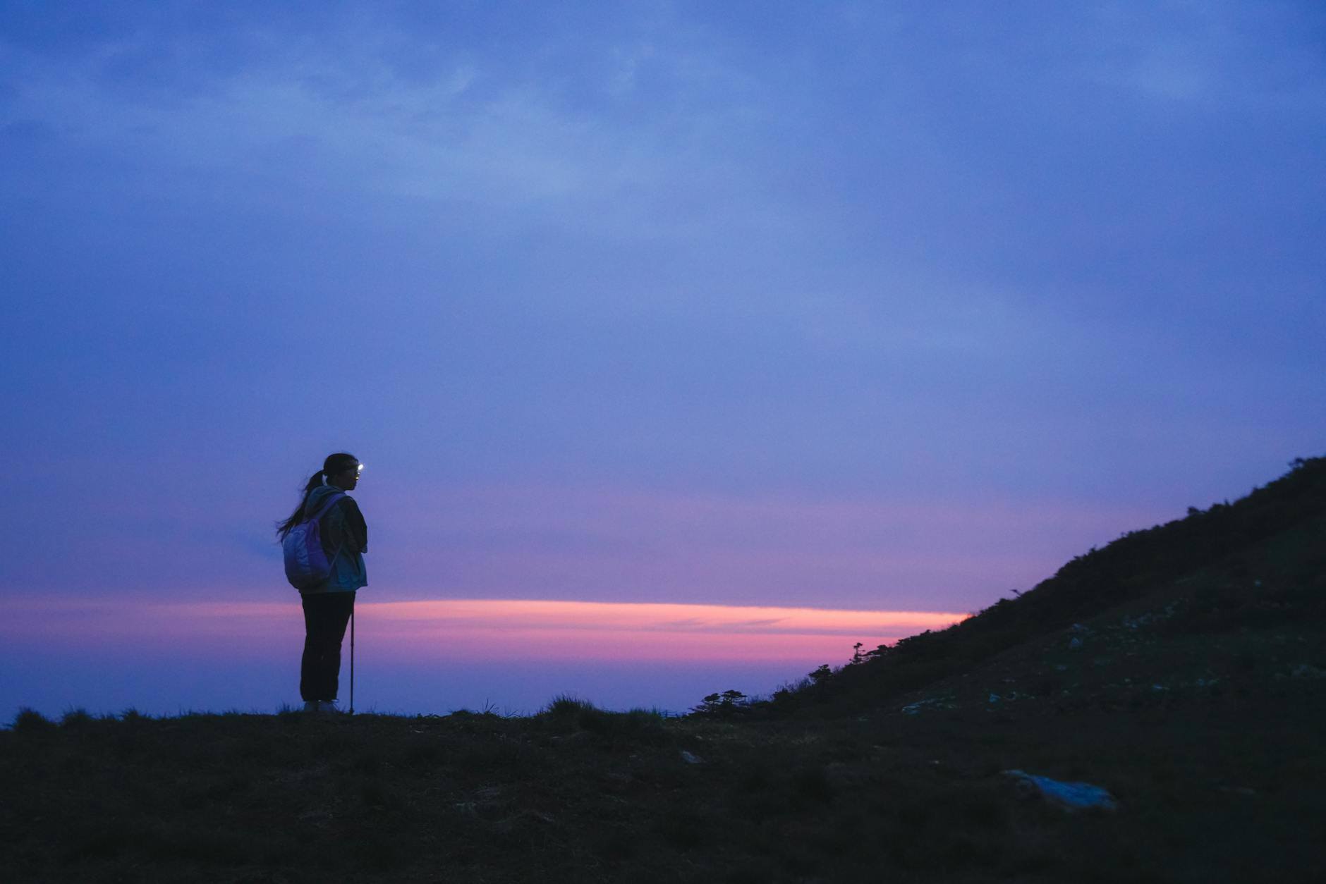 快速学习行业知识